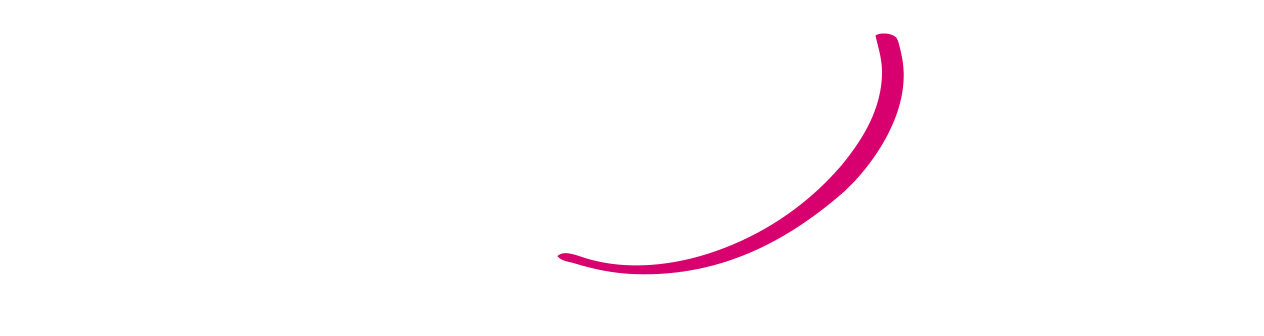 Logo Perfexion White
